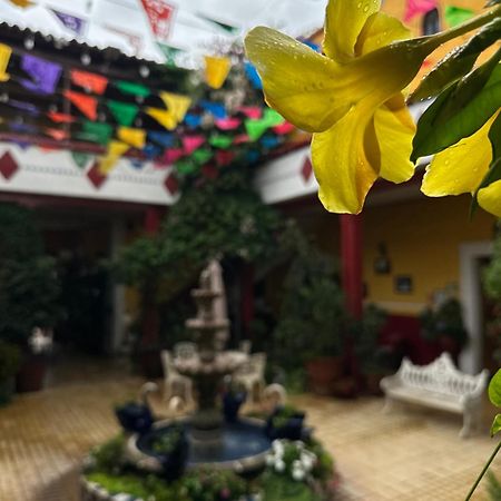 Copa De Oro Hotel Boutique Mascota Kültér fotó