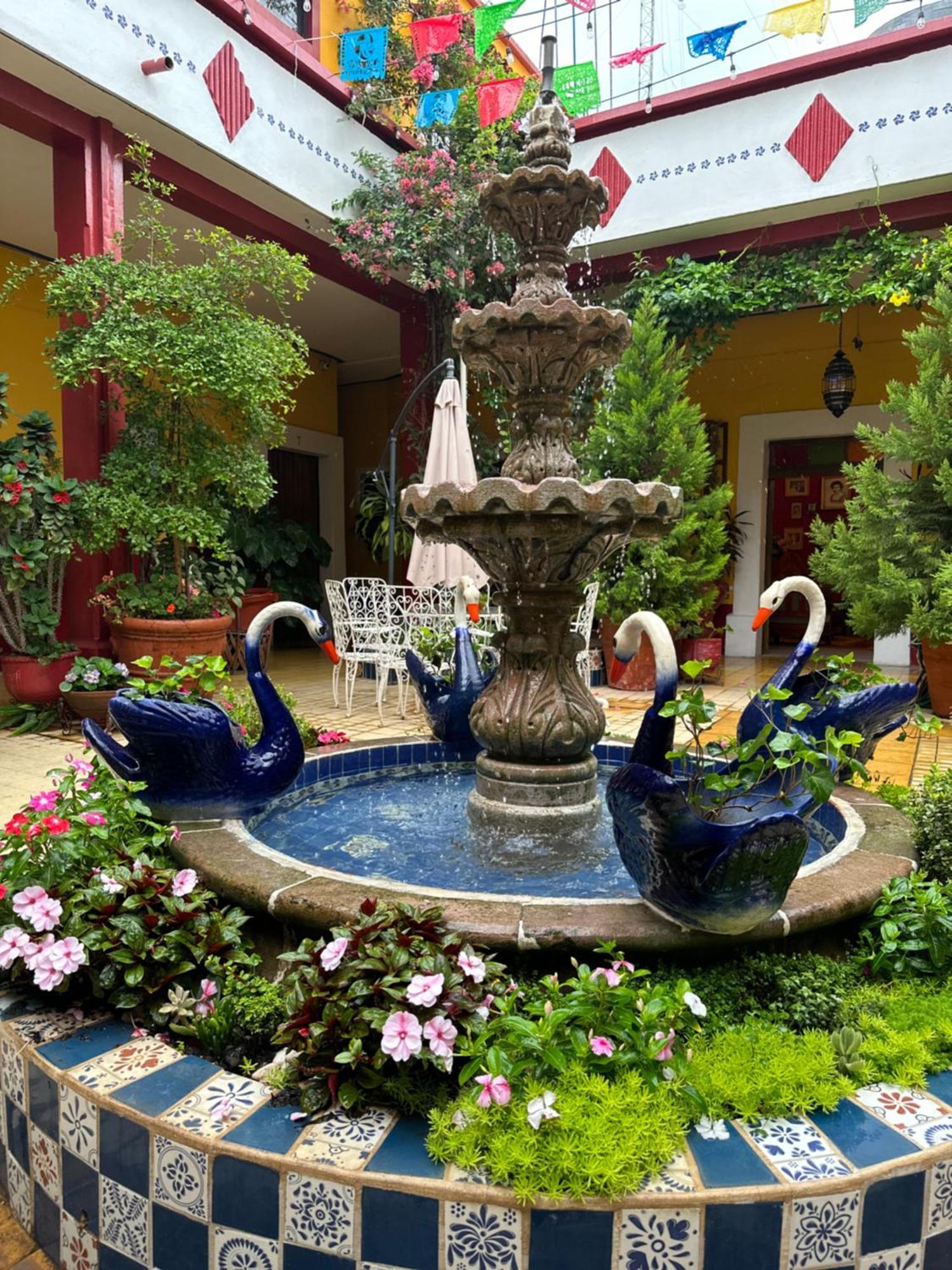 Copa De Oro Hotel Boutique Mascota Kültér fotó