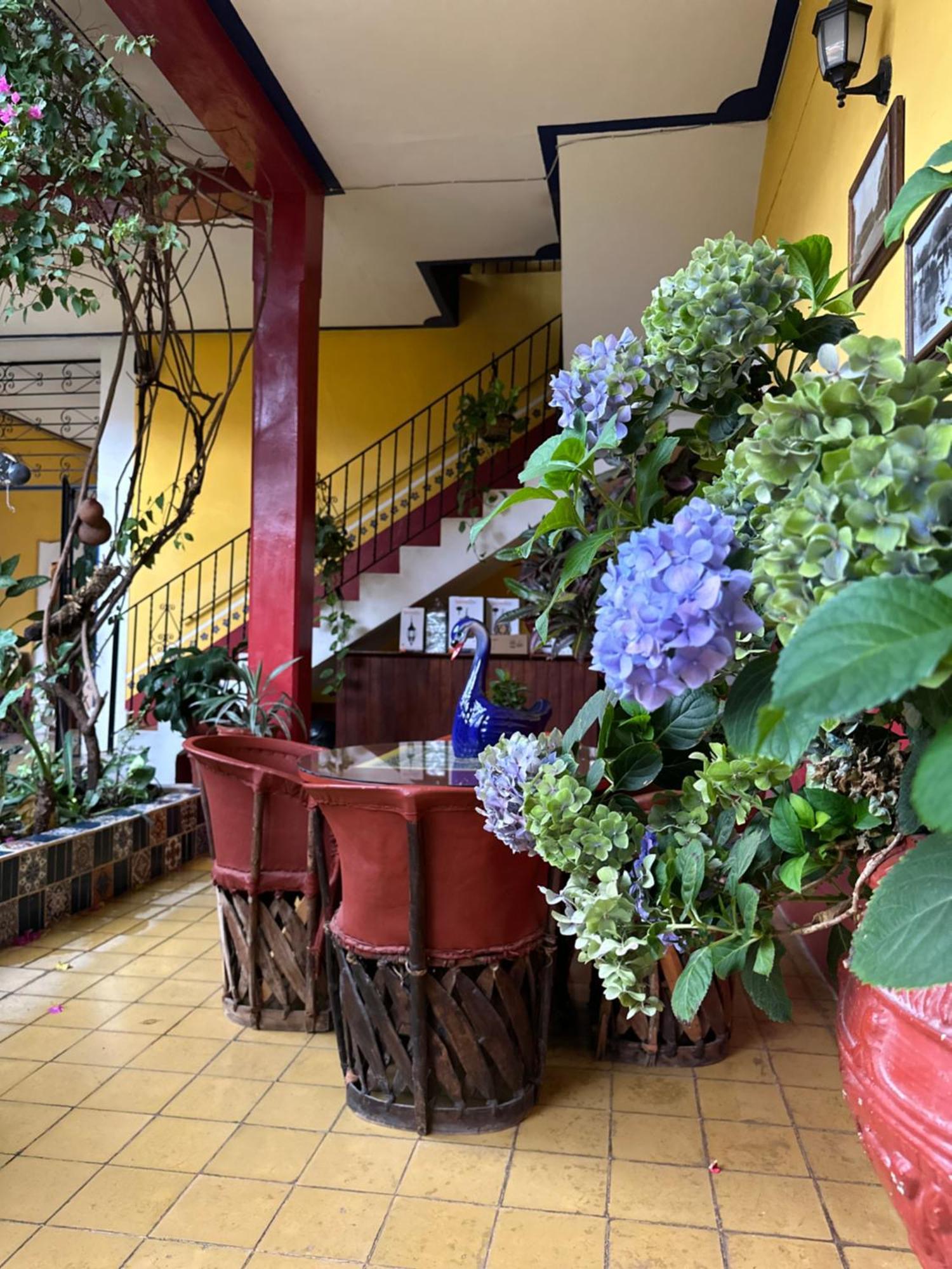 Copa De Oro Hotel Boutique Mascota Kültér fotó