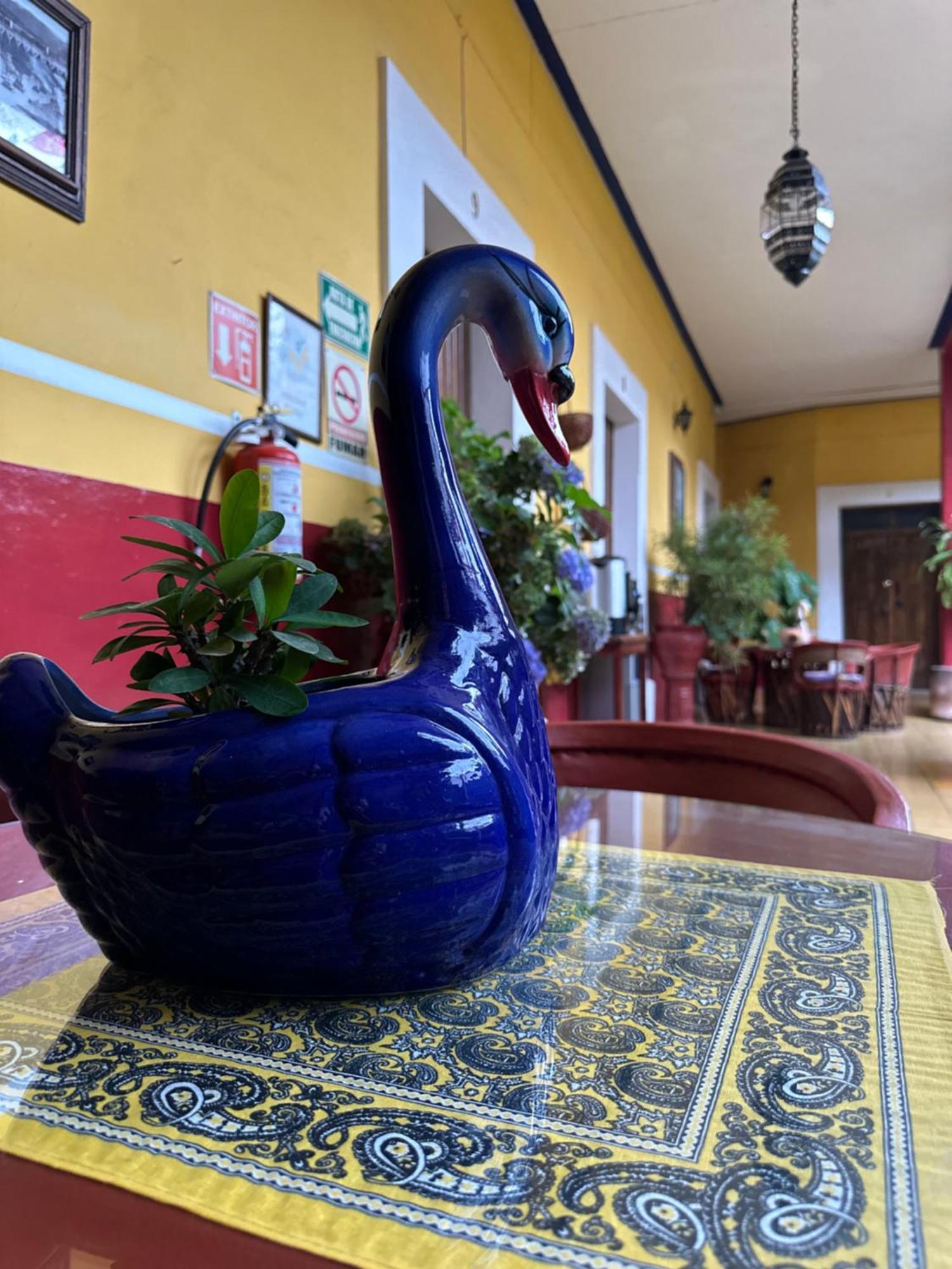 Copa De Oro Hotel Boutique Mascota Kültér fotó