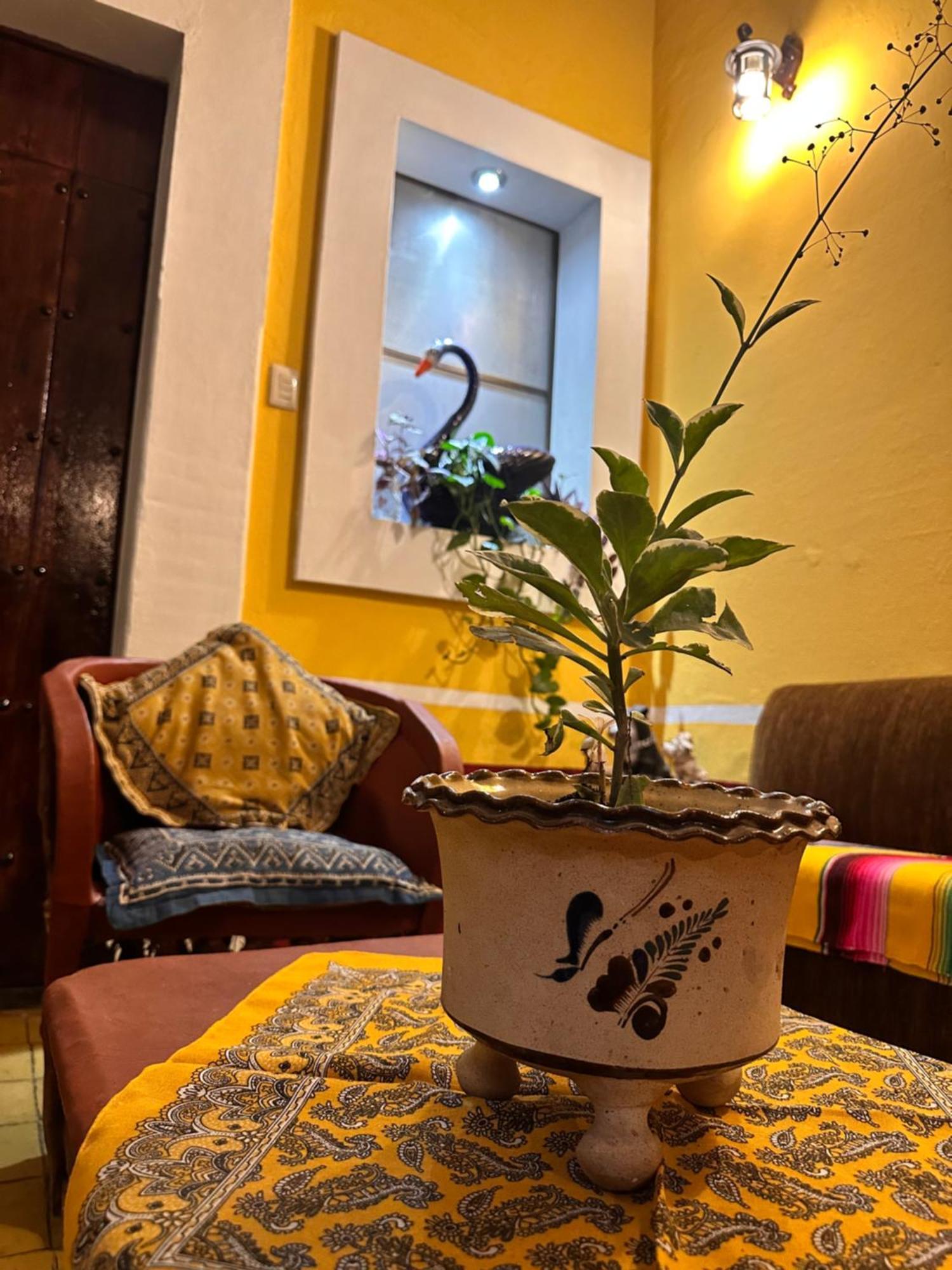 Copa De Oro Hotel Boutique Mascota Kültér fotó