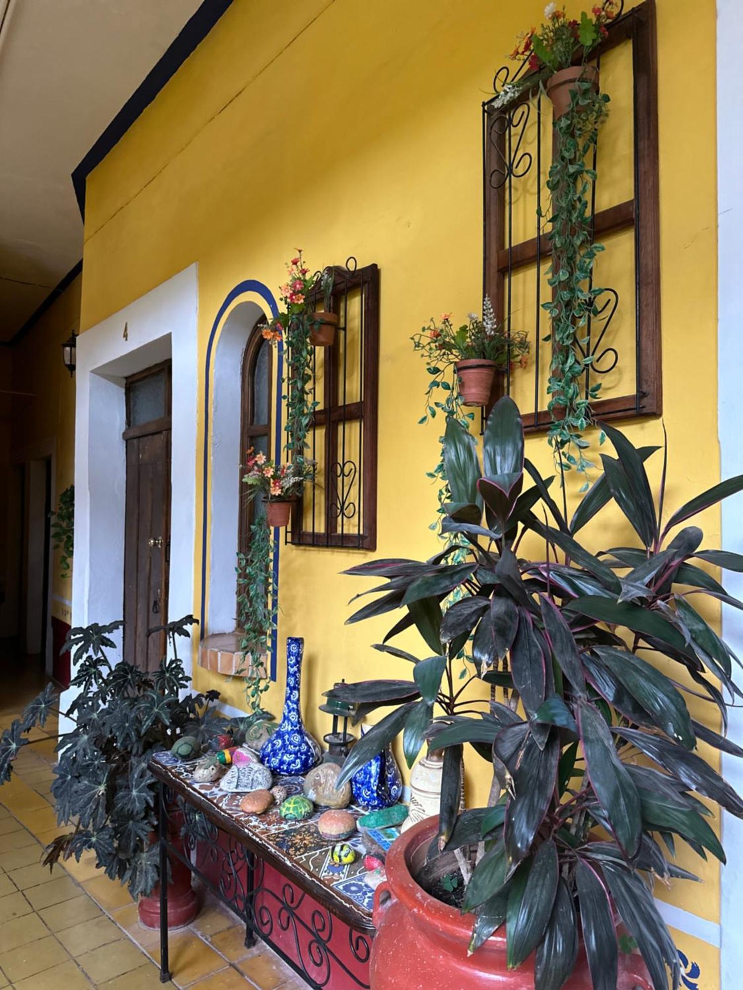 Copa De Oro Hotel Boutique Mascota Kültér fotó