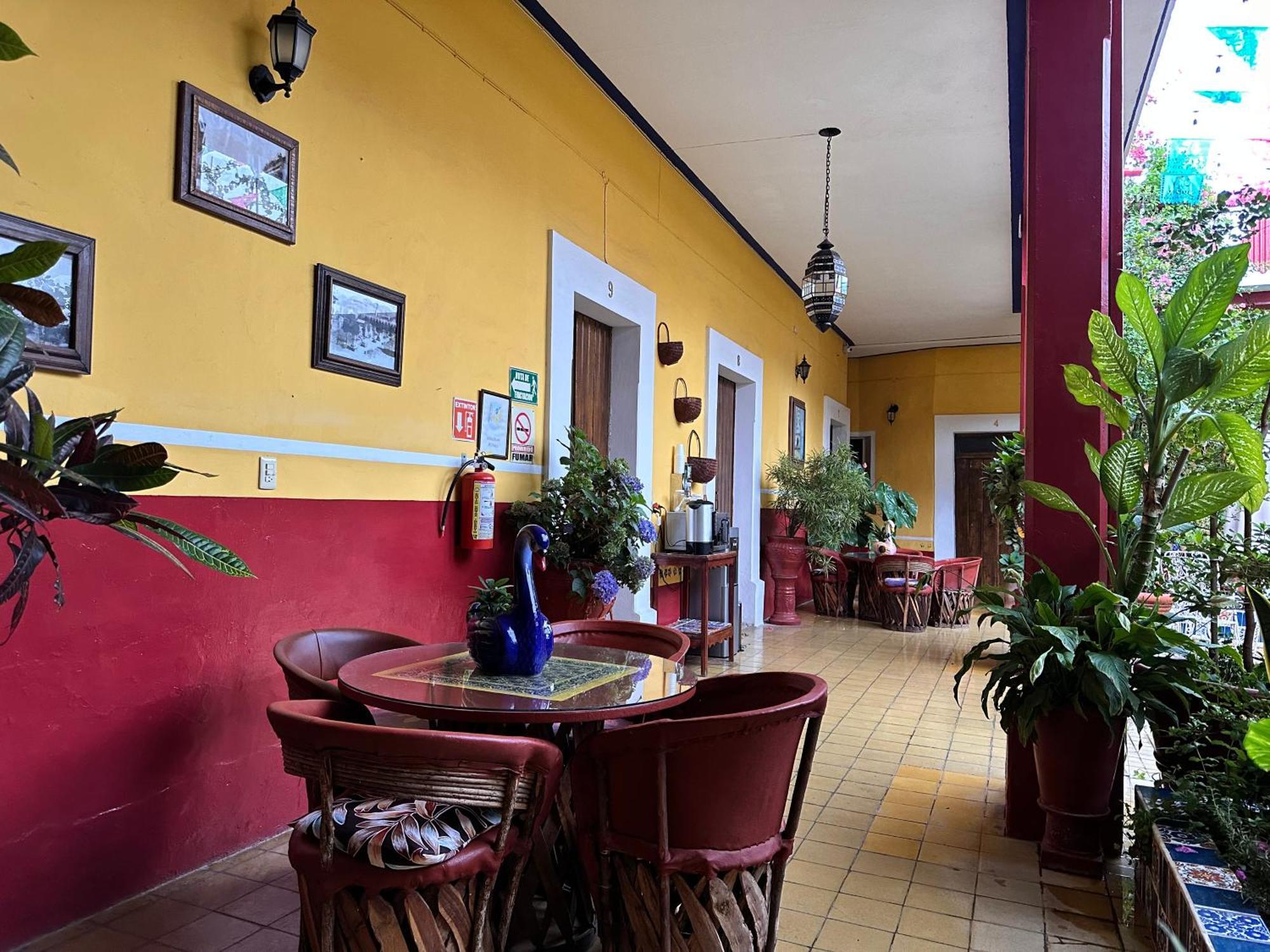 Copa De Oro Hotel Boutique Mascota Kültér fotó