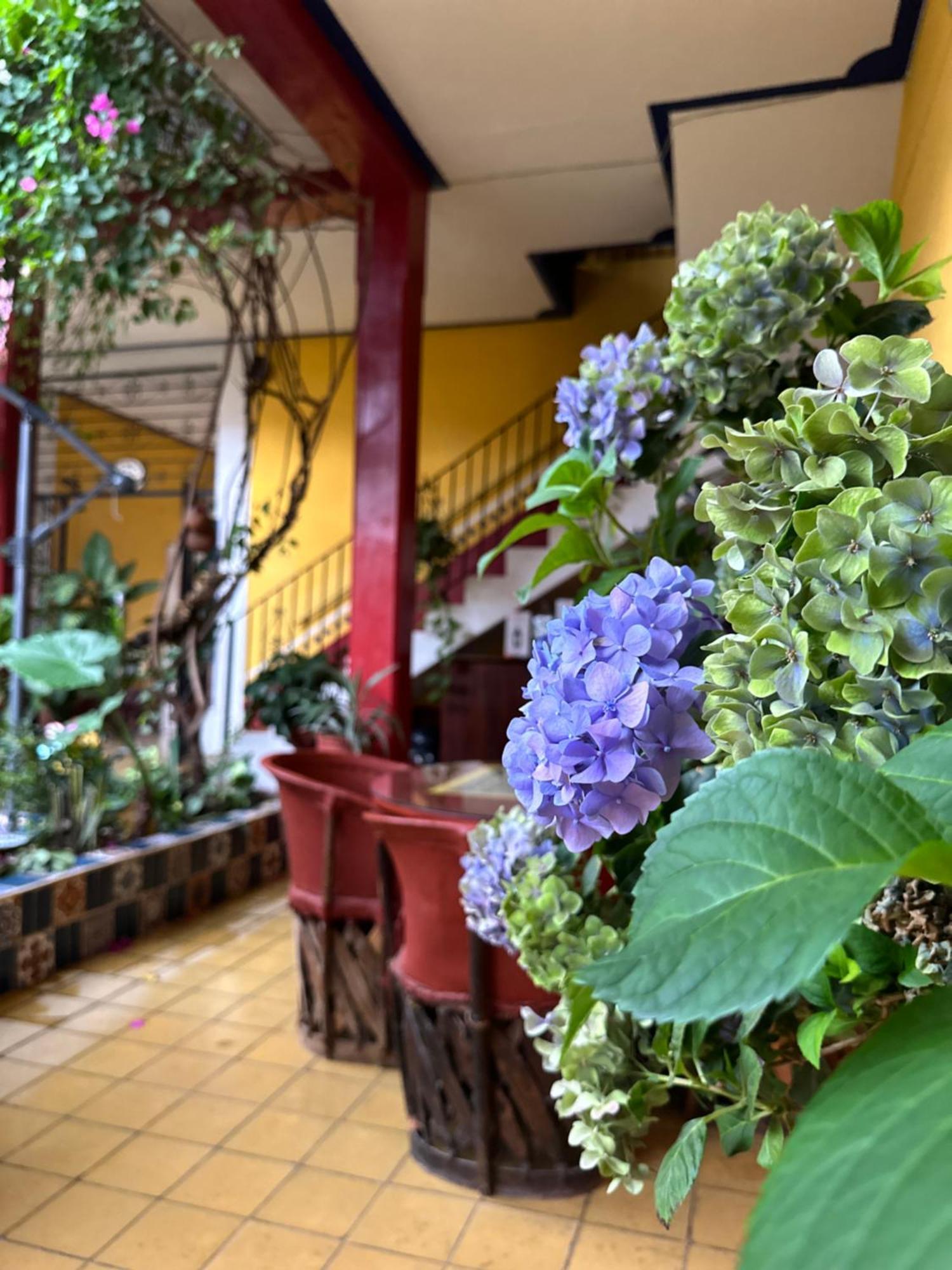 Copa De Oro Hotel Boutique Mascota Kültér fotó