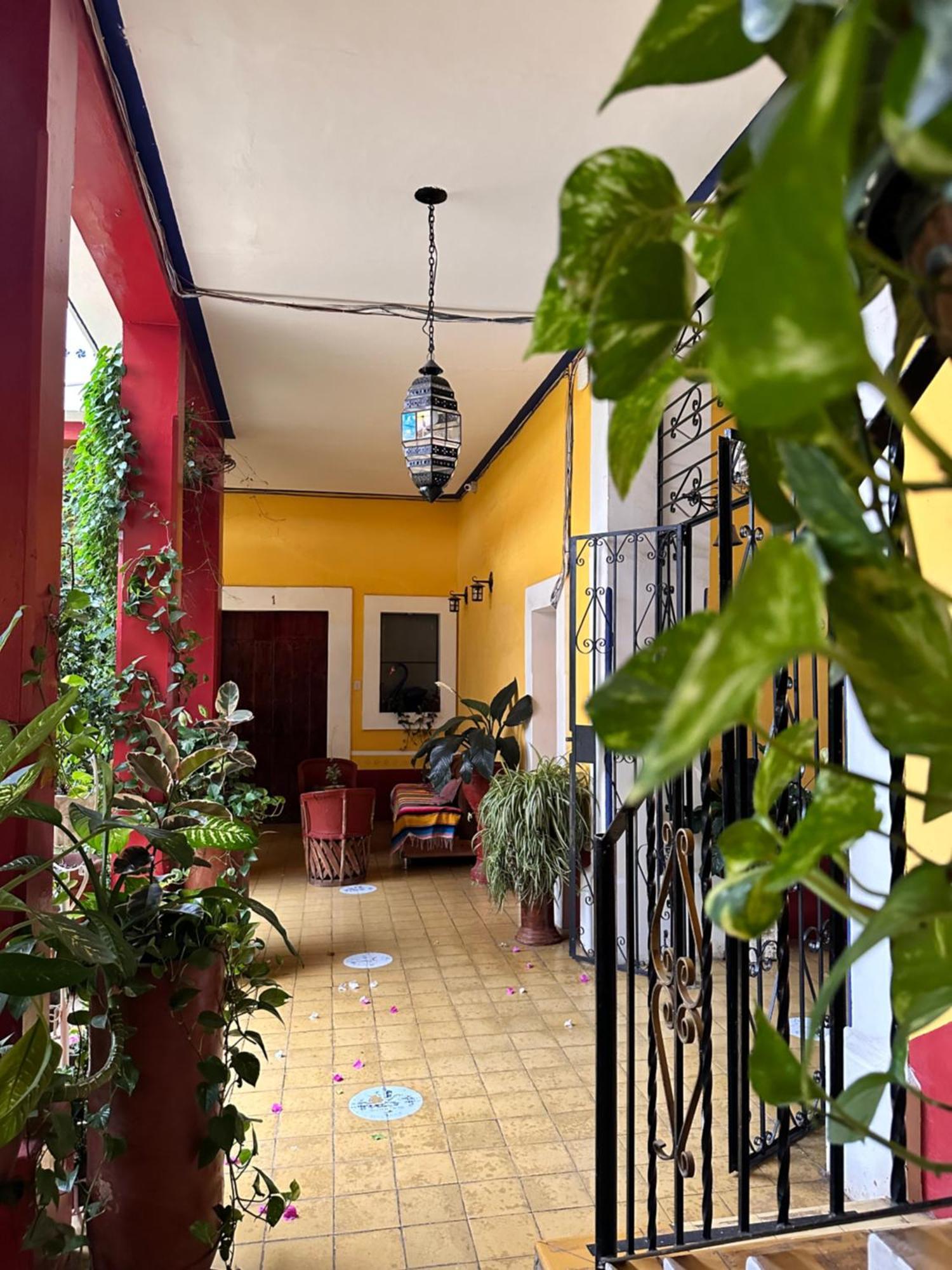 Copa De Oro Hotel Boutique Mascota Kültér fotó