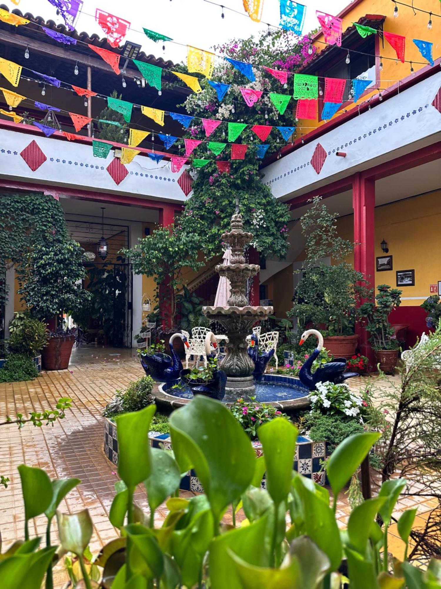 Copa De Oro Hotel Boutique Mascota Kültér fotó