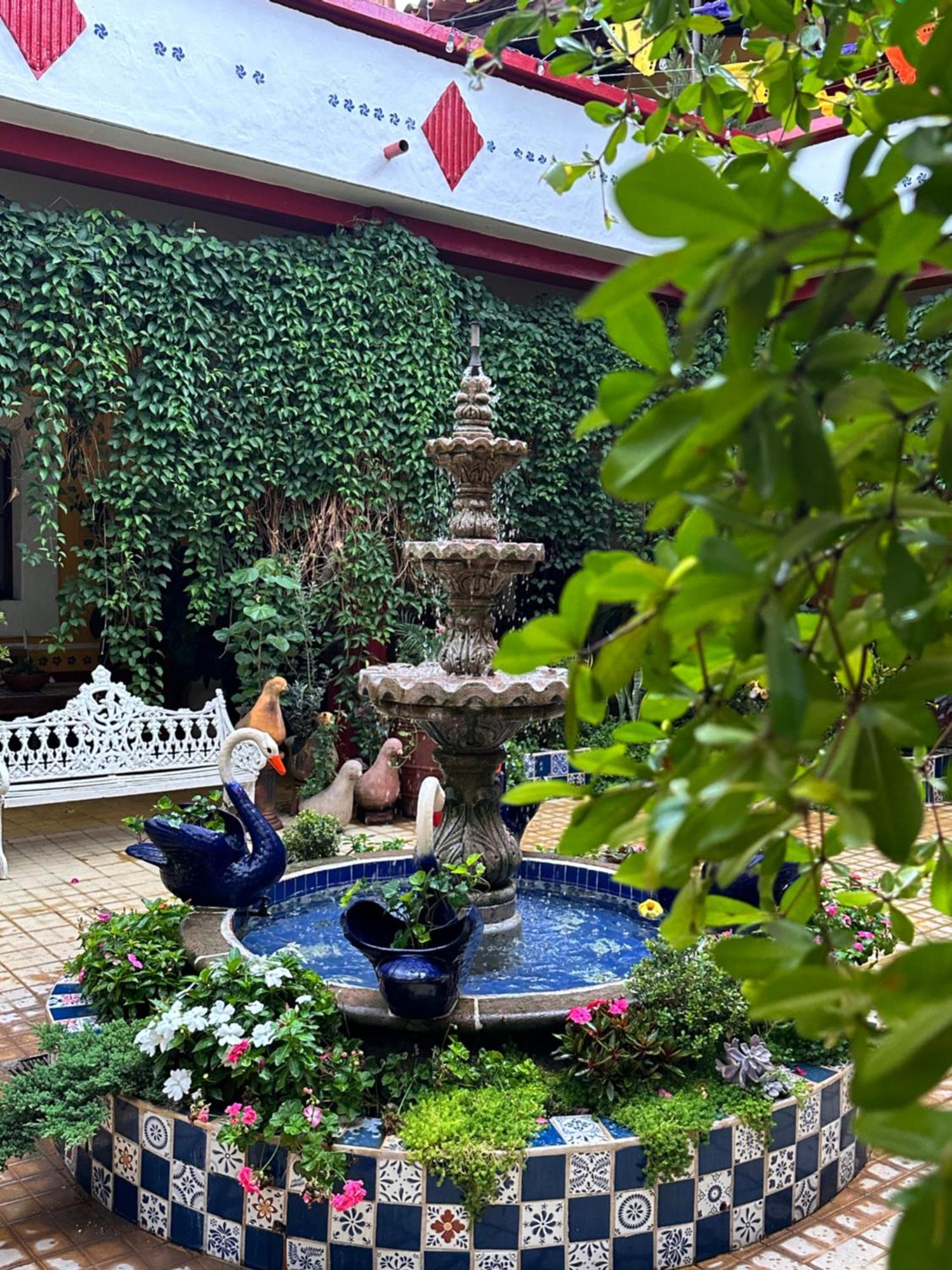 Copa De Oro Hotel Boutique Mascota Kültér fotó