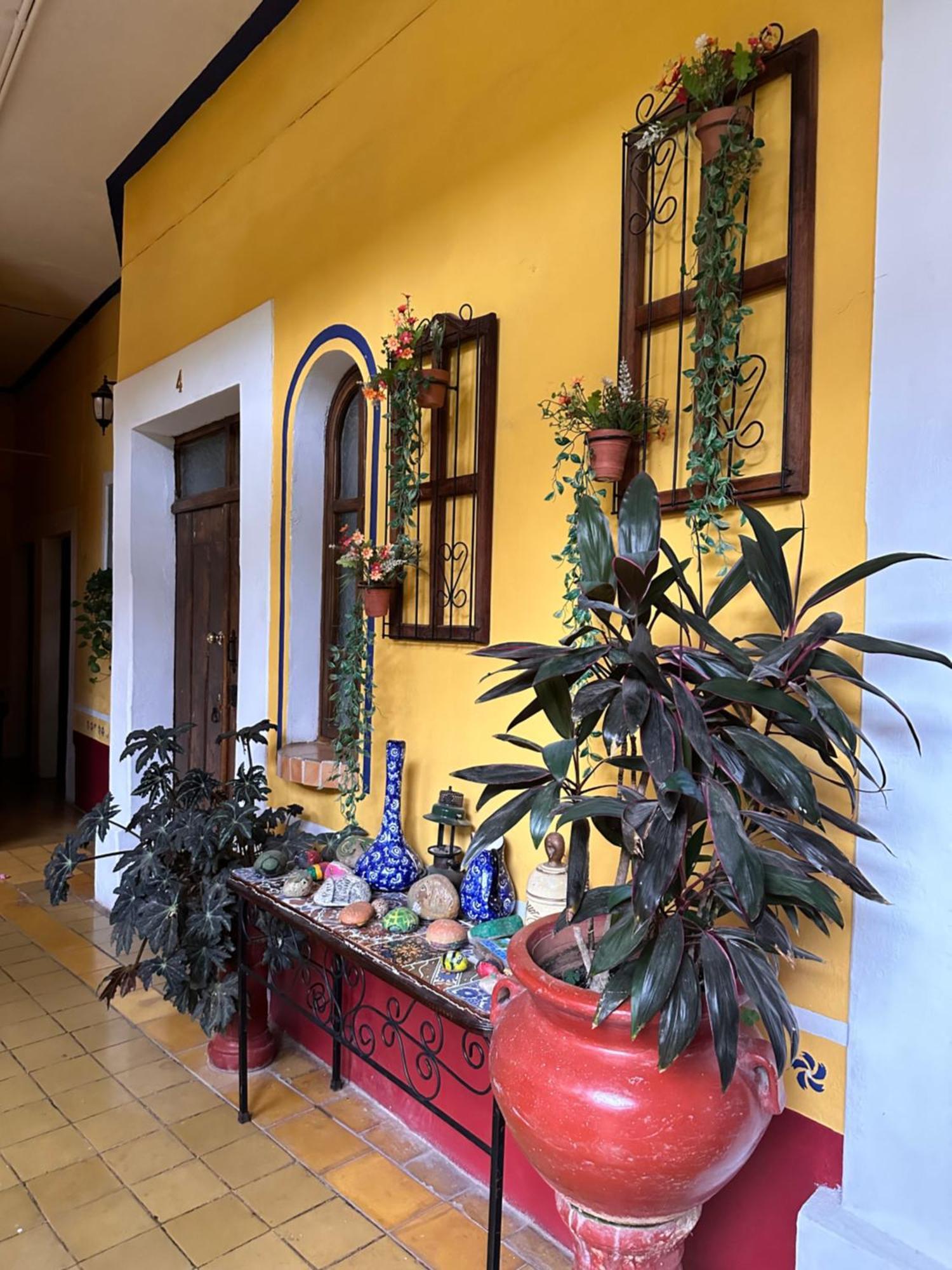 Copa De Oro Hotel Boutique Mascota Kültér fotó